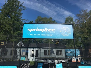 Springfree Trampoline