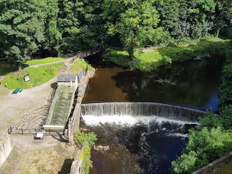 Royal Oak New Mills