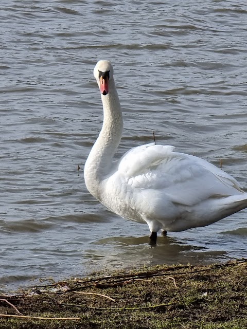 Watermead Country Park