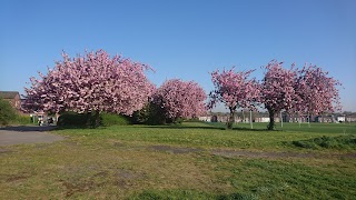 Herringthorpe Stadium