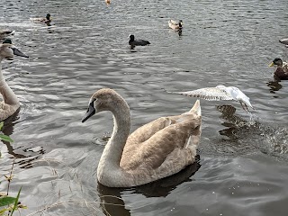 Durrockstock Park - Local Nature Reserve