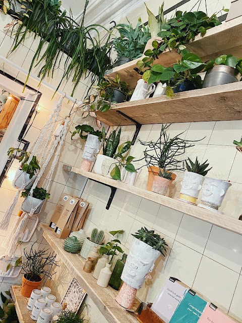 Rooted Botanical Emporium