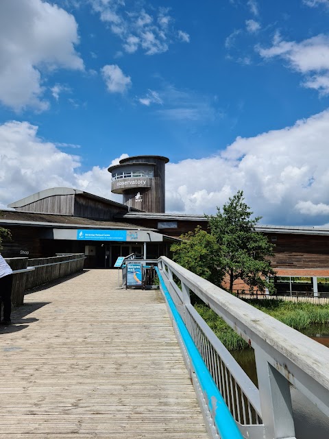 WWT Slimbridge