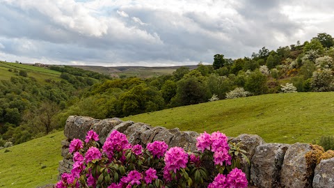 Bottoms Farm