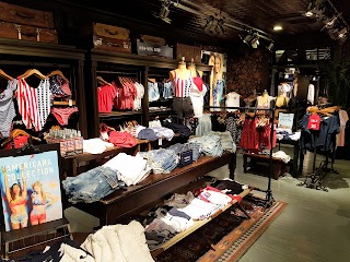 Hollister Co.