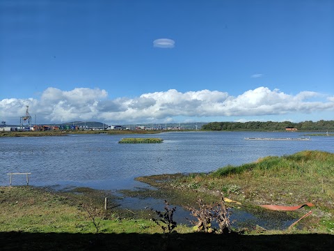 RSPB Belfast's Window on Wildlife