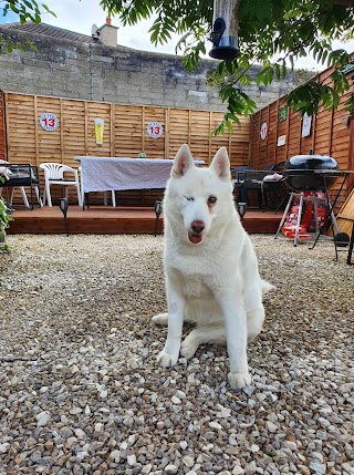 Primrose Hill Veterinary Hospital