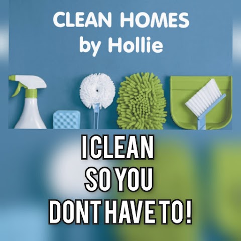 CLEAN HOMES