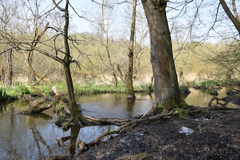 Dibbinsdale Nature Reserve