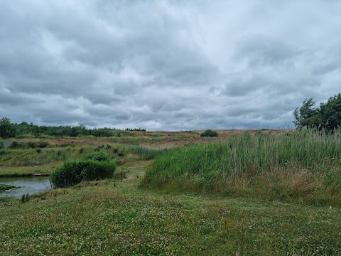 Lyme and Wood Country Park