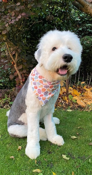 Toptail Dog Grooming