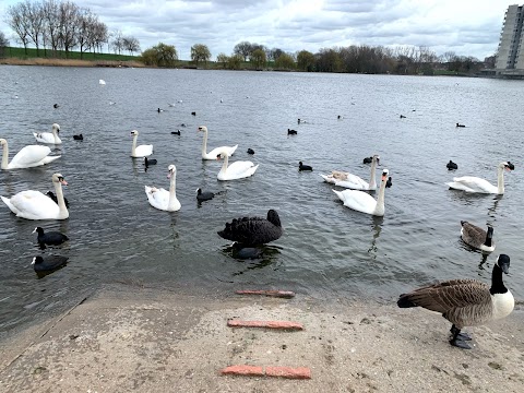 Lakeside Cafe - The Y on the Lake