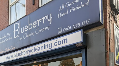 Blueberry Cleaning Company