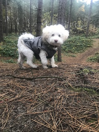 Tilly & Toby’s Treks & Treats