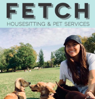 Fetch Pets London