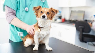 Rogers, Brock & Barker Veterinary Surgeons - Cheadle