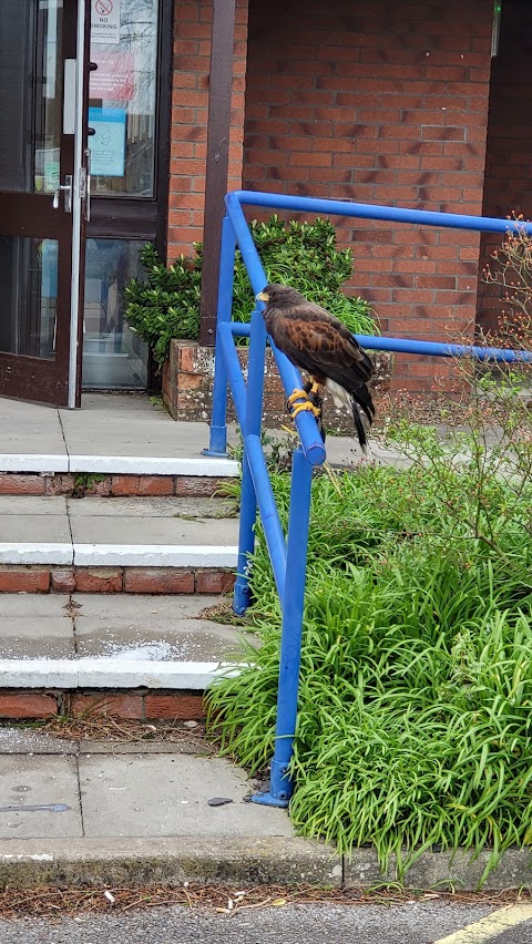 Travelodge Alton Four Marks