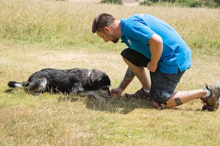 Luke's Pets