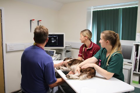 Axe Valley Vets