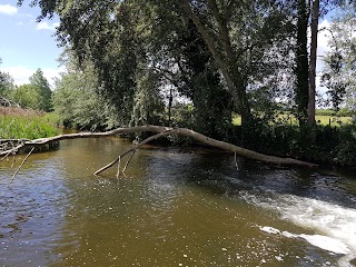 Swanton Morley Waterfalls