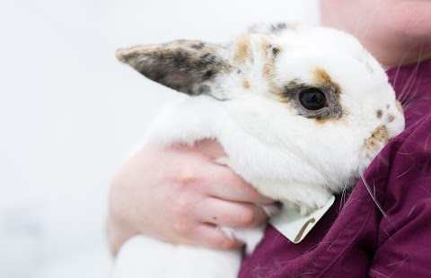 Glenburn Veterinary Surgeons