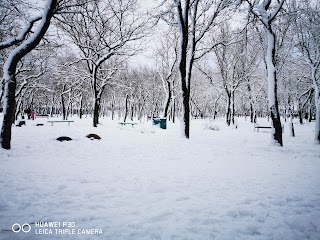 Спортивная Площадка