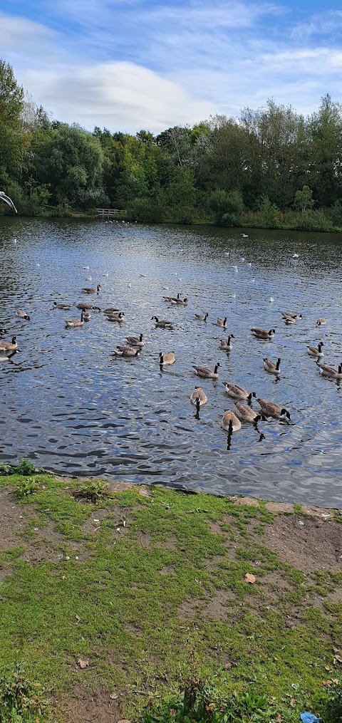 Orrell Water Park