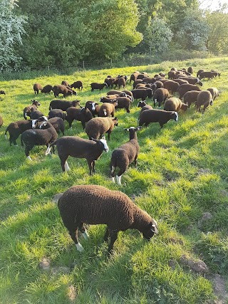 Shirley Hall Farm Ashbourne Derbyshire