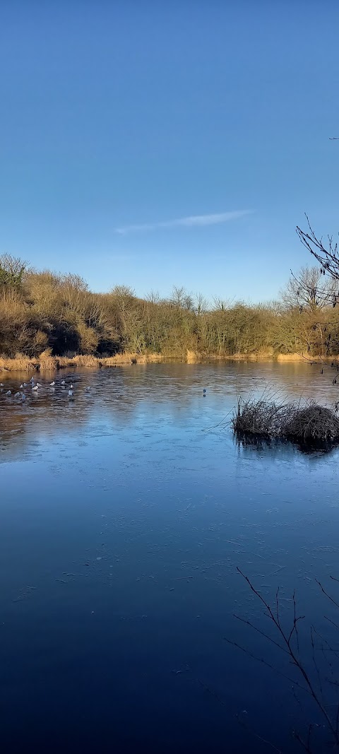 Essington Pools