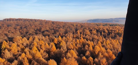 Політ на повітряній кулі