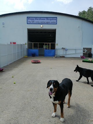 Waggy Warehouse Shropshire