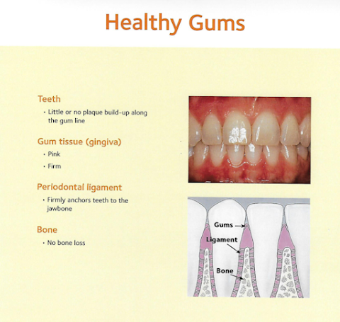 New Street Dental Care - Providing General, Cosmetic and Digital Dentistry.