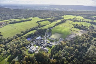 Independent School - St Teresa's Effingham in Surrey