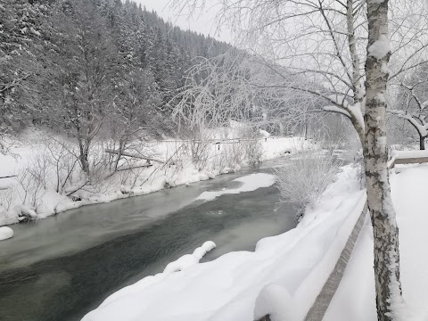 Карпатська Садиба