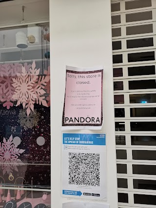 Pandora Bedford
