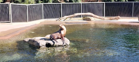 The Zoological Society of Ireland