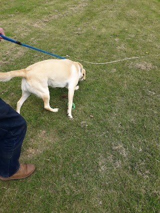 Grange Boarding Kennels