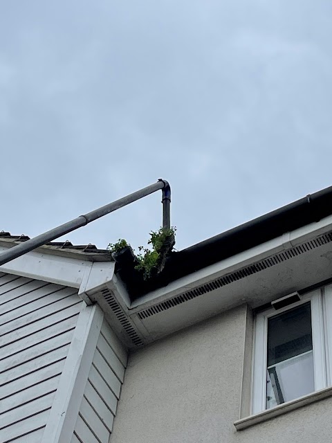 Pure Effect Window & Gutter Cleaning ,Hove