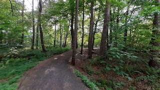 Durrockstock Park - Local Nature Reserve