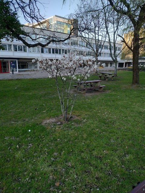 Heath Hospital Garden