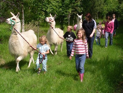 Catanger Llama Trekking