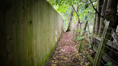 Treetops Kennels and Cattery