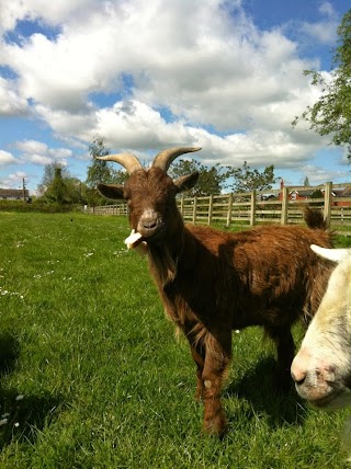 Brookhouse Boarding Kennels