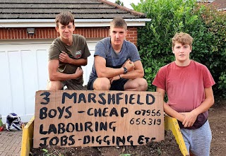 Local Labourers