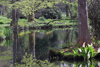 Longstock Park Water Gardens (John Lewis Partnership)