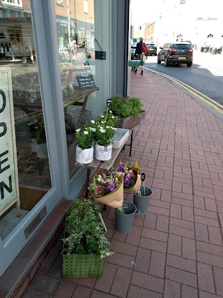 Nettle Home and Garden