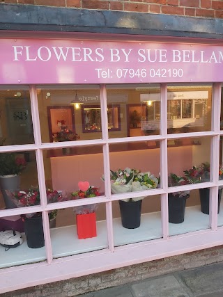 Flowers by Sue Bellamy