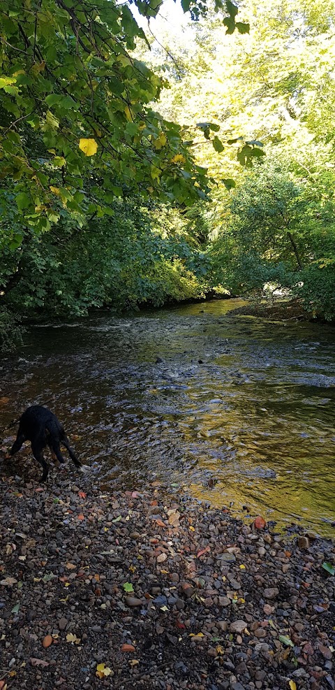 Colinton Dell