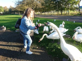 Dog walking maryhill