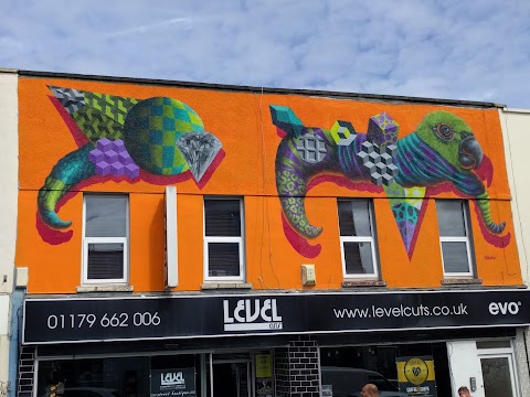 Level Bristol